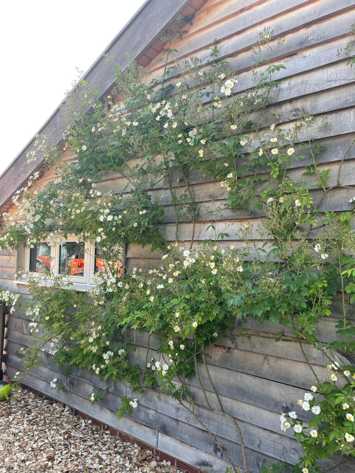 A Family And Dog Friendly Haven, The Hayloft.